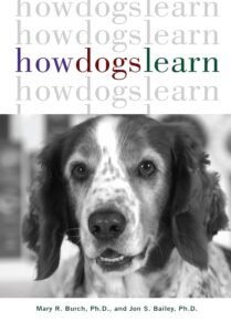 Read more about the article How Dogs Learn Book Review: Canine Cognition Unleashed