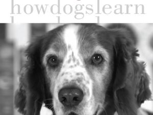 How Dogs Learn Book Review: Canine Cognition Unleashed