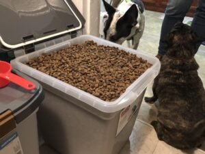 How Long Does a 30Lb Bag of Dog Food Last: Feeding Facts