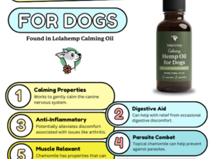 How Much Chamomile Tea for Dogs: Safe Dosage Tips 2024