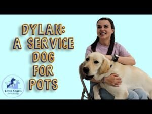 Read more about the article How to Get a Service Dog for POTS: Exclusive Support 24/7