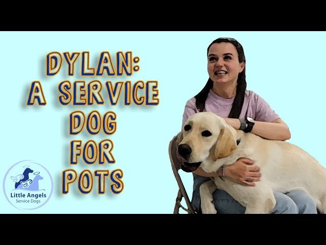 You are currently viewing How to Get a Service Dog for POTS: Exclusive Support 24/7