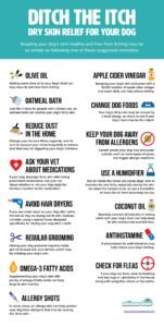 Read more about the article How to Get Rid of Dry Skin for Dogs: 5 Proven Tips