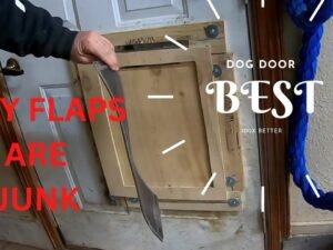 How to Secure Your Dog Door Flap Against Wind Gusts