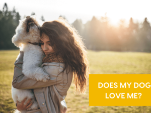 How to Know If My Dog Loves Me Quiz: Ultimate Bond Test