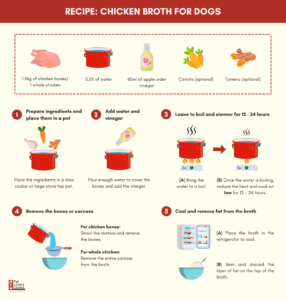 Read more about the article How to Make Chicken Broth for Dogs: Easy & Nutritious 2024