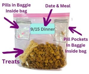 Read more about the article How to Pack Dog Food for Boarding: Smart & Simple Tips 2024