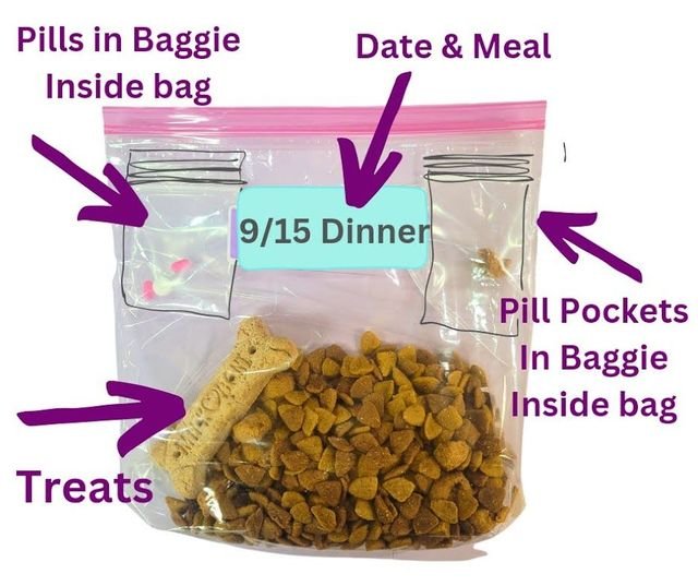 You are currently viewing How to Pack Dog Food for Boarding: Smart & Simple Tips 2024