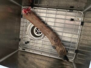 Read more about the article How to Prepare Deer Legs for Dogs : Safe & Nutritious Tips