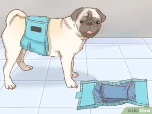 Read more about the article How to Wash Dog Diapers: Quick & Easy Clean-up Tips