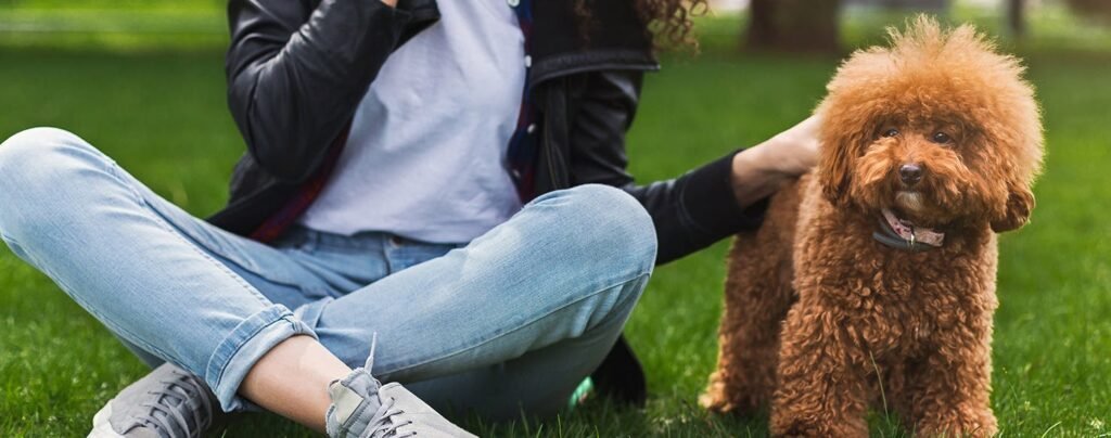 How to Tell Your Dog You're Mad