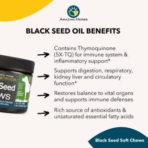 Read more about the article Is Black Seed Oil Good for Dogs? Canine Health Secrets!
