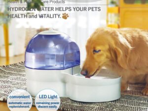 Is Hydrogen Water Good for Dogs? Unveiling the Truth!