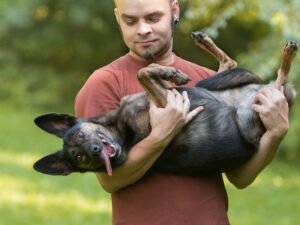 Is It Bad to Hold a Dog on Its Back? Ultimate Vet Insights 2024