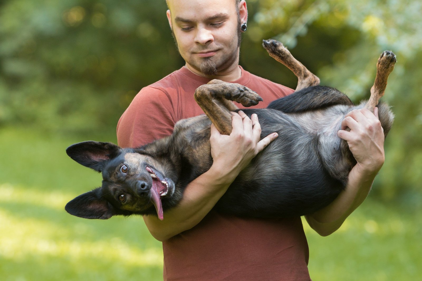 You are currently viewing Is It Bad to Hold a Dog on Its Back? Ultimate Vet Insights 2024