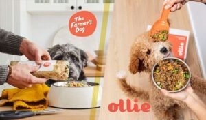 Read more about the article Is Ollie Cheaper Than Farmer’s Dog?: Cost Comparison 2024