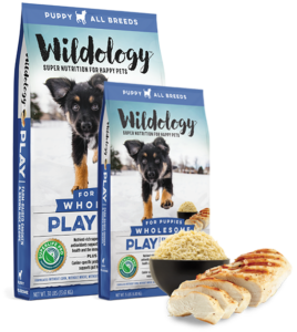 Read more about the article Is Wildology Good Dog Food? Unleash the Truth!