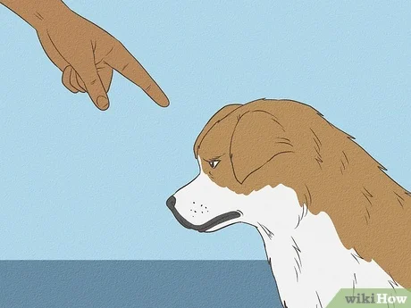 You are currently viewing How Long Should I Ignore My Dog After Scolding? Unveiled!