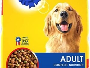 What are the Top 10 Worst Dog Foods : Alert for Pet Owners