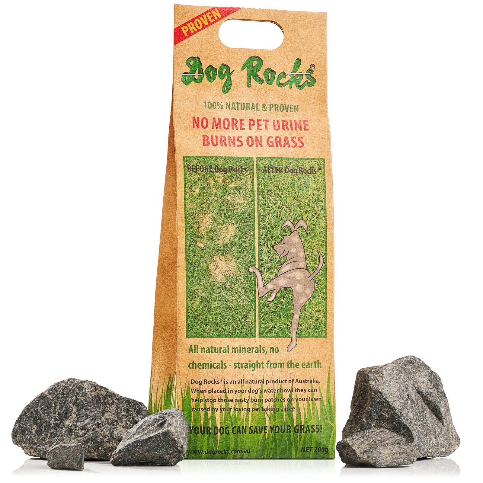 You are currently viewing What Do Vets Think of Dog Rocks: Expert Insights 2024