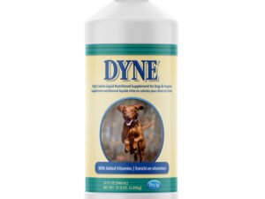 What is Dyne for Dogs?: Unveiling Vitality Boosters