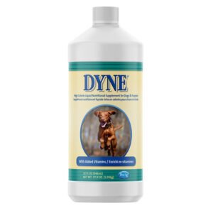 Read more about the article What is Dyne for Dogs?: Unveiling Vitality Boosters