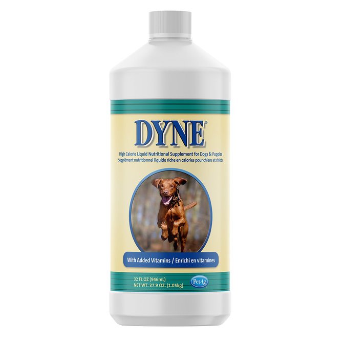 You are currently viewing What is Dyne for Dogs?: Unveiling Vitality Boosters
