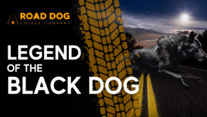 Read more about the article What is the Black Dog Trucking: Everything You Need to Know best way 2024