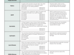 What Shots are Needed to Board a Dog: Essential Guide