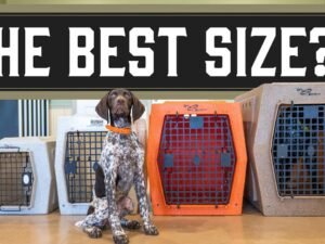 What Size Ruffland Kennel for My Dog: Perfect Fit Guide 2024
