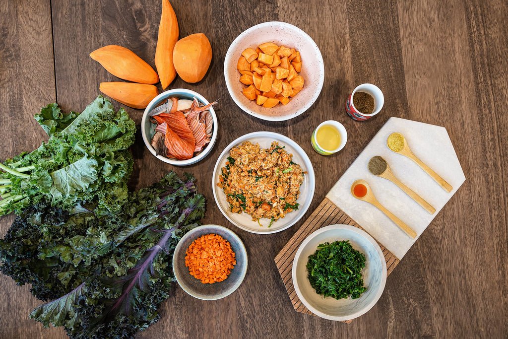 You are currently viewing What Supplements Should I Add to Homemade Dog Food: Essential Boosts