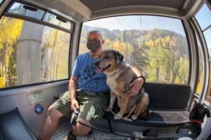 Read more about the article Where to Put the Dog in the 2024 Telluride: Comfy Tips