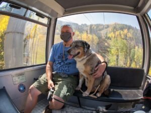 Where to Put the Dog in the 2024 Telluride: Comfy Tips