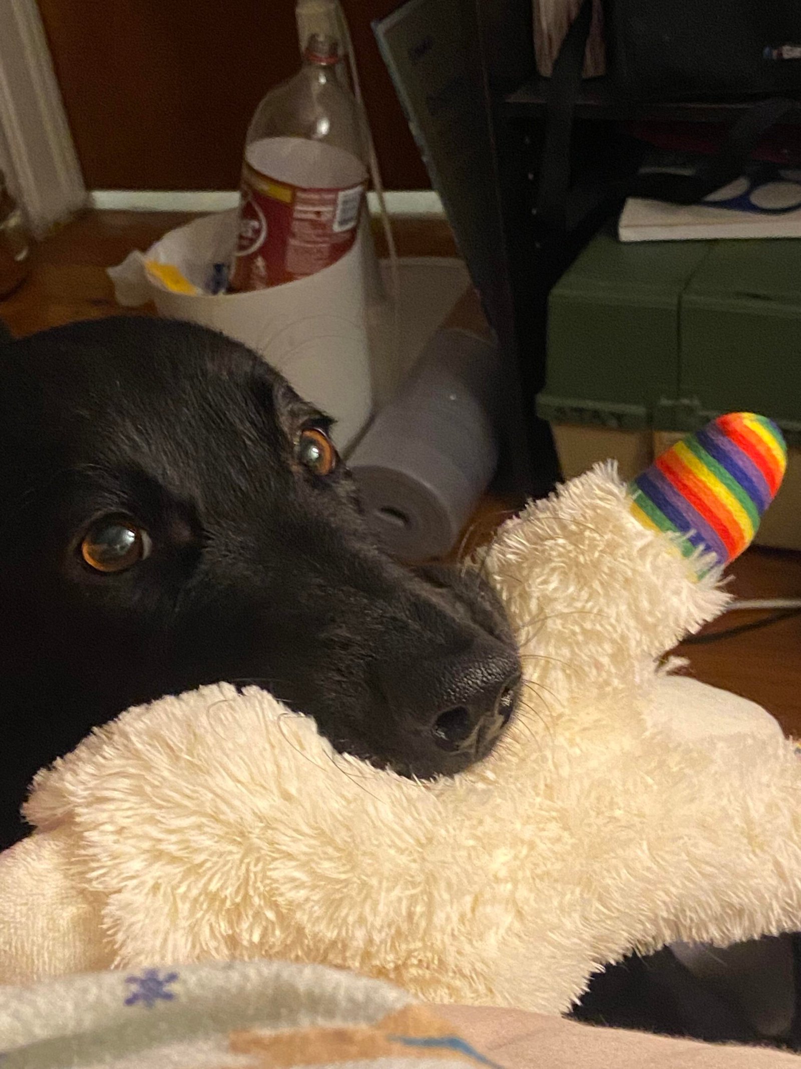 You are currently viewing Why Does My Dog Take a Toy Outside to Pee? Unveiling Canine Habits Tricks 2024