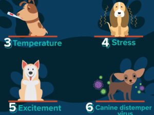 Why is My Dog Throwing Up And Shaking? Urgent Causes & Care